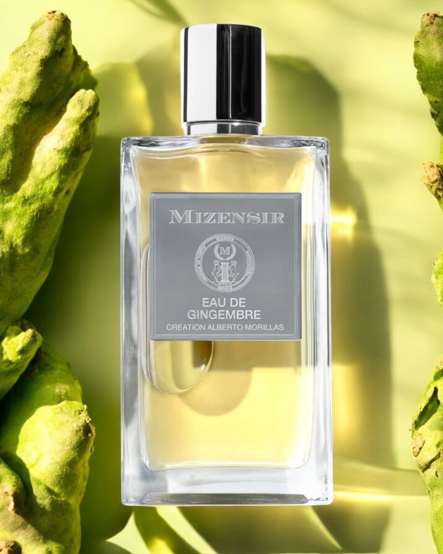 Mizensir Eau de Gingembre