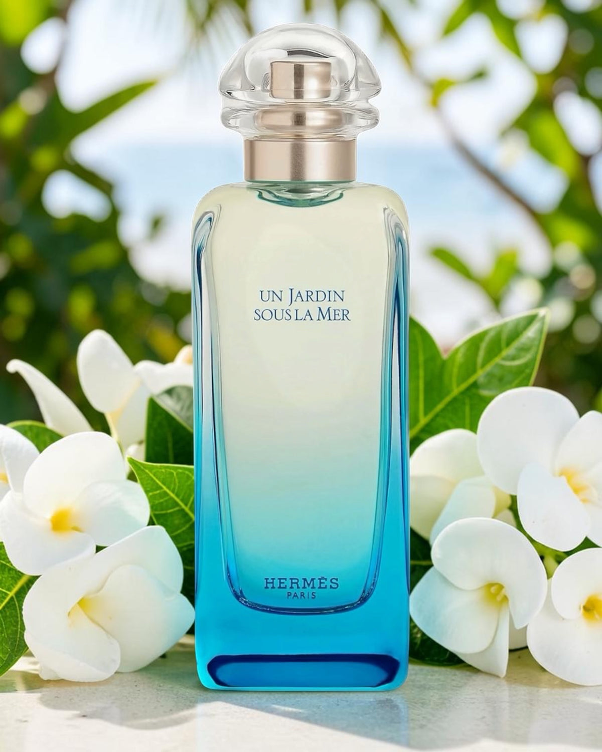 HERMÈS Un Jardin Sous la Mer