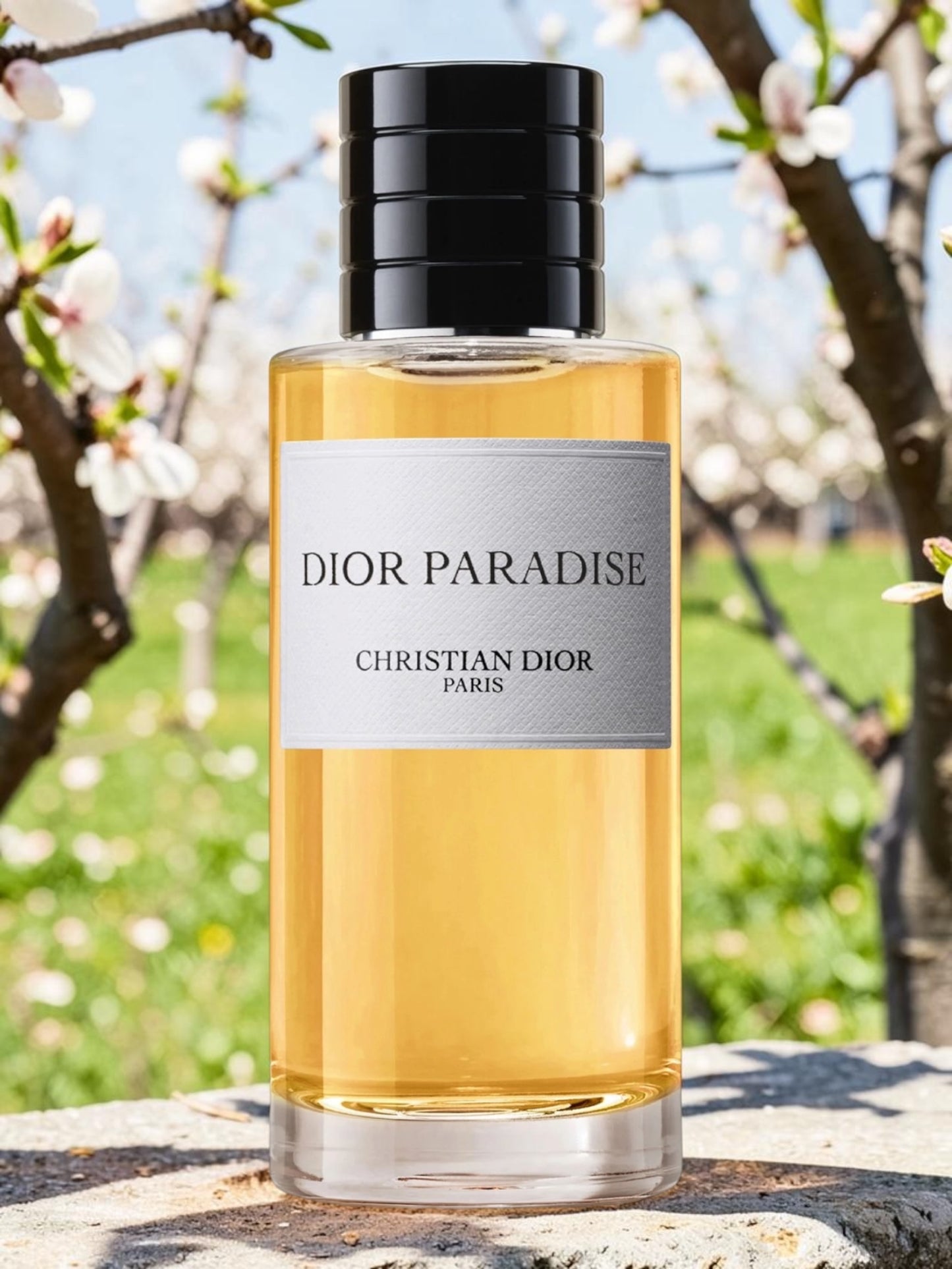 Christian Dior Paradise