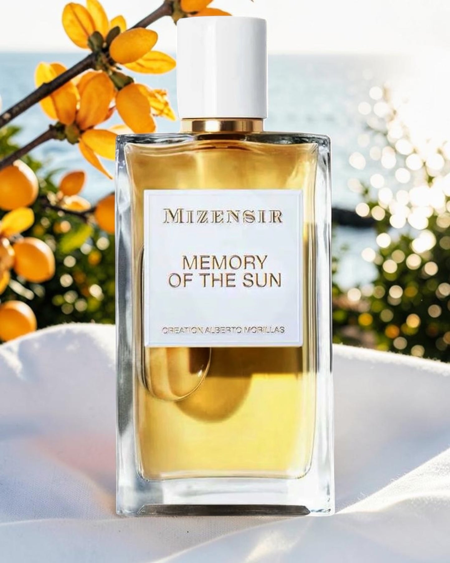 Mizensir Memory of the Sun