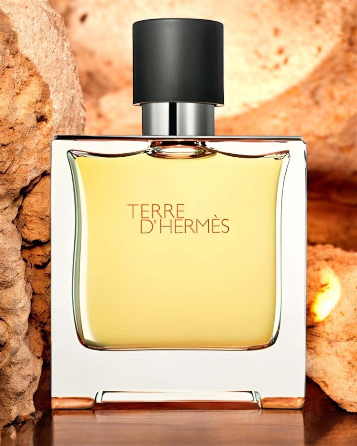 HERMÈS Terre d'Hermes