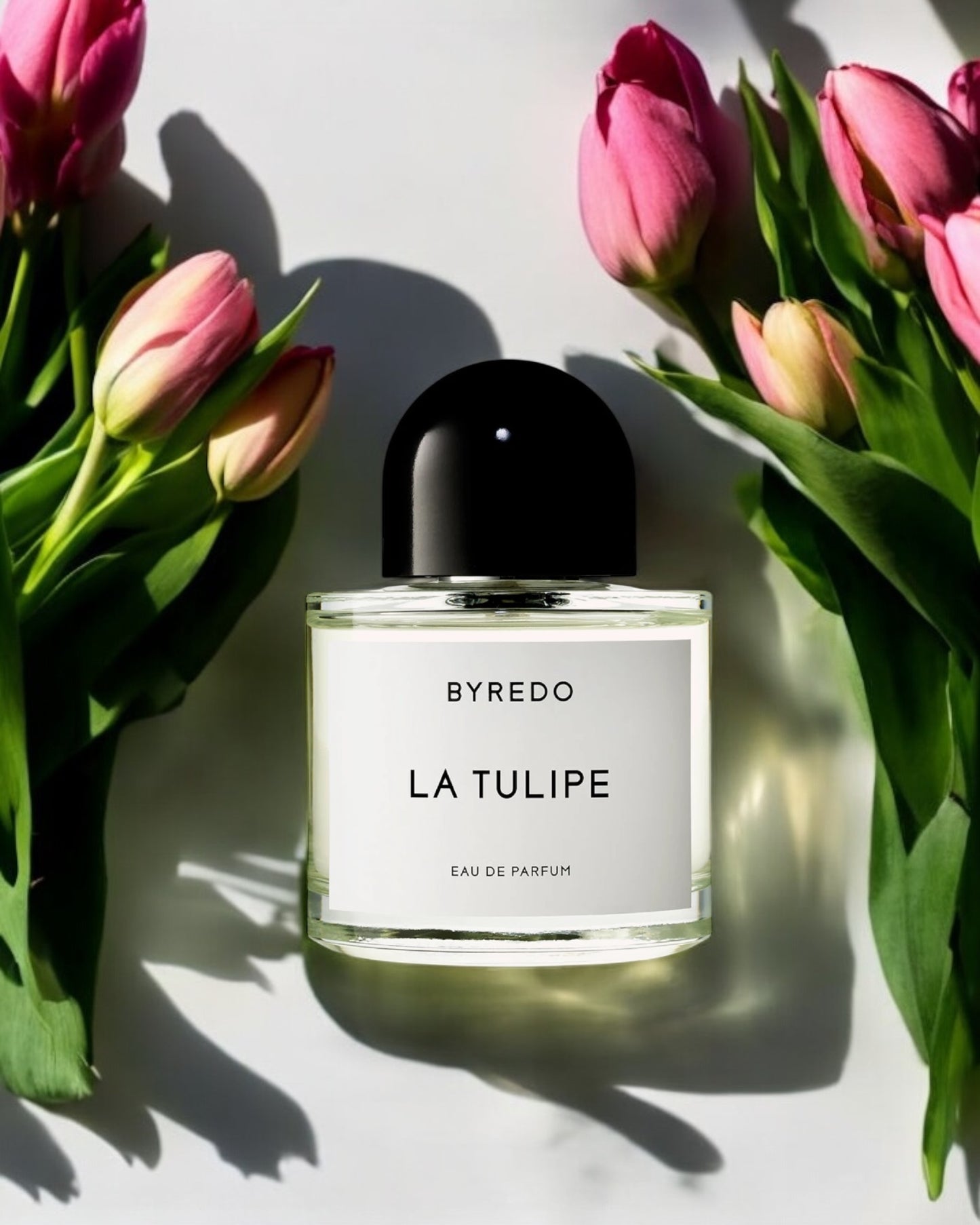 BYREDO La Tulipe