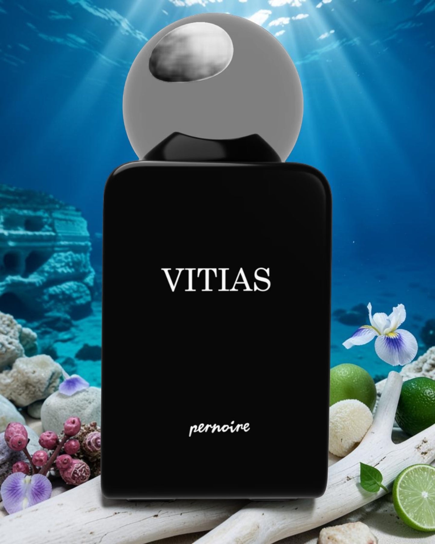 Pernoire Vitias