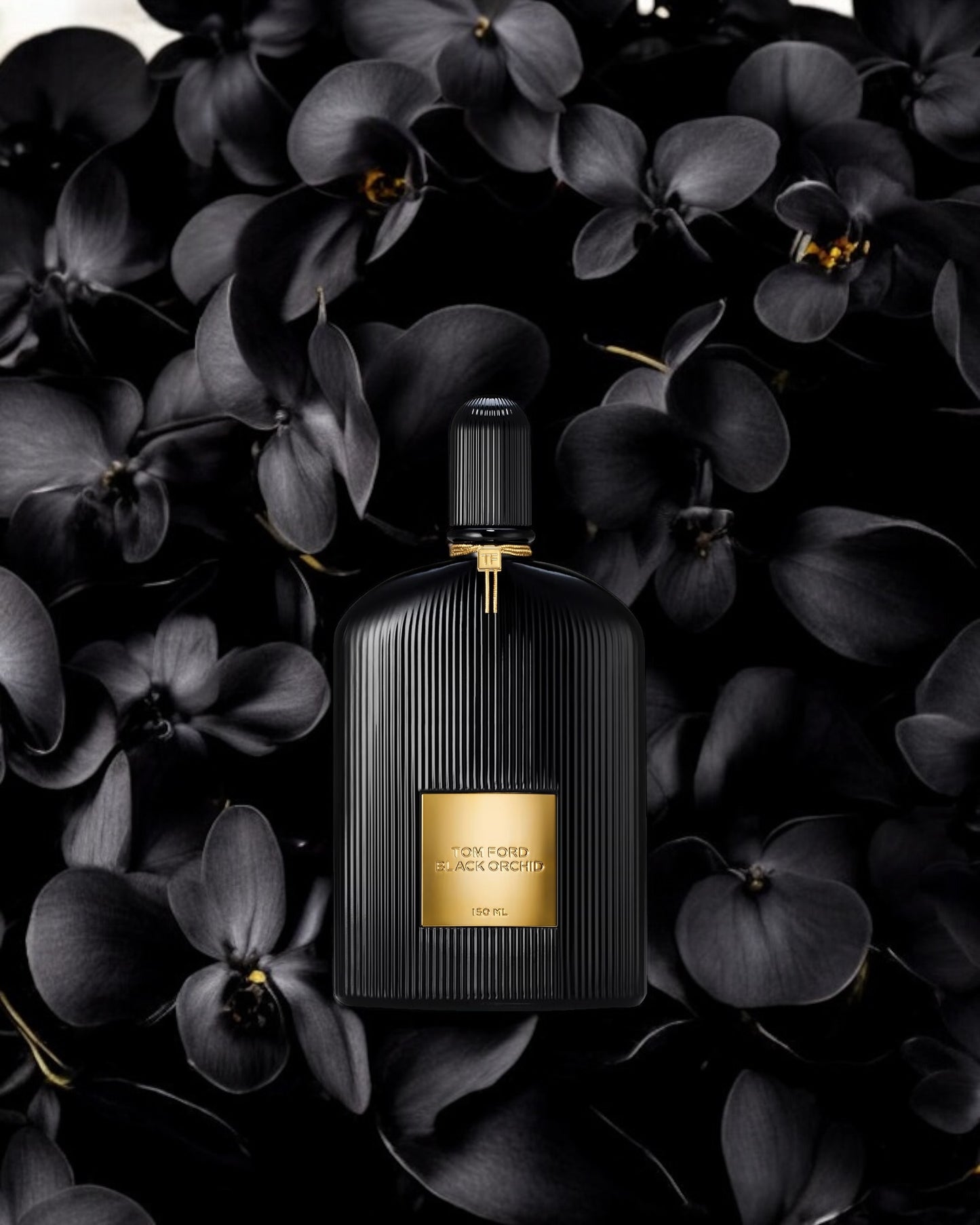 Tom Ford Black Orchid