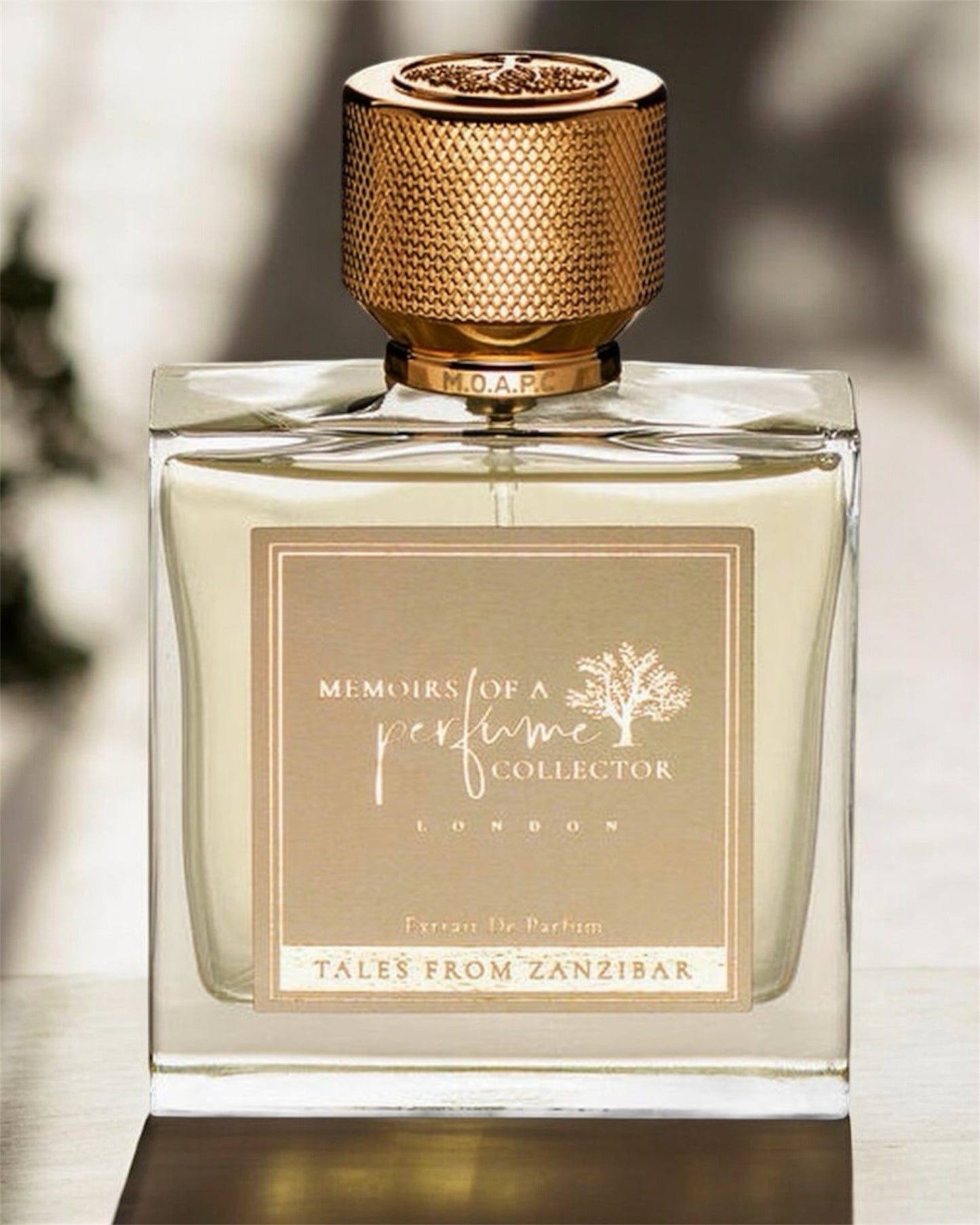 Memoirs of a Perfume Collector Tales from Zanzibar