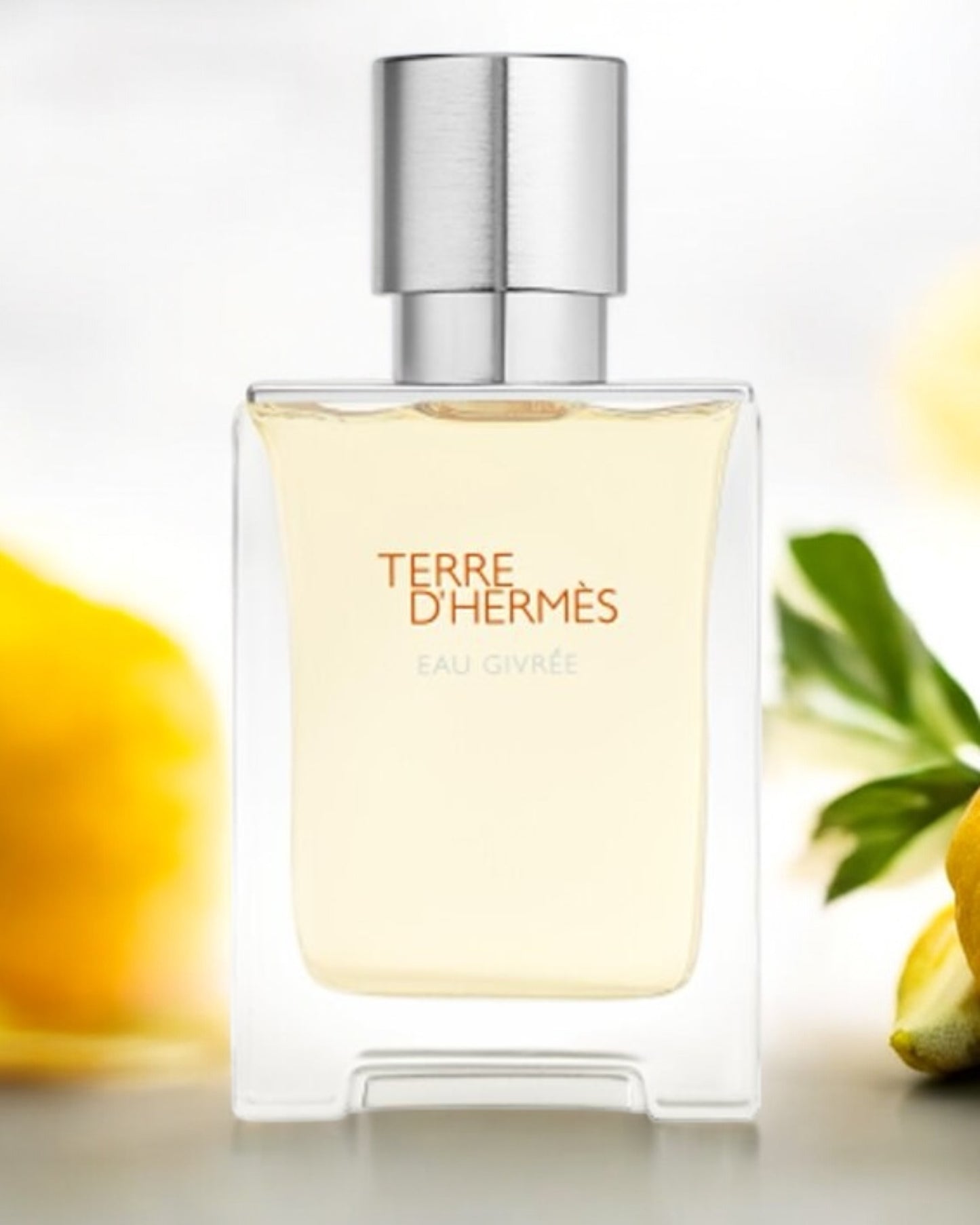 HERMÈS Terre d'Hermès Eau Givrée