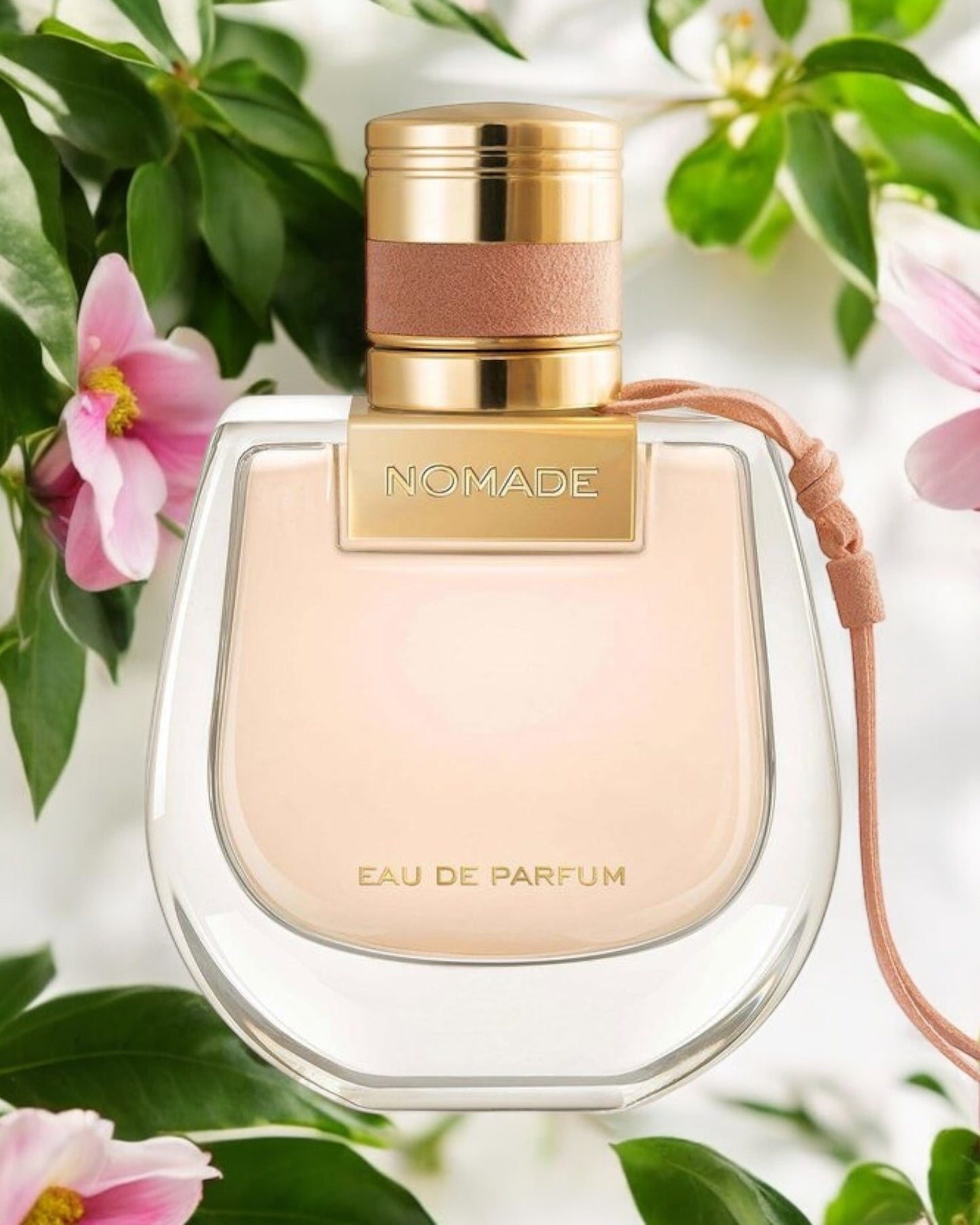 Chloé Nomade