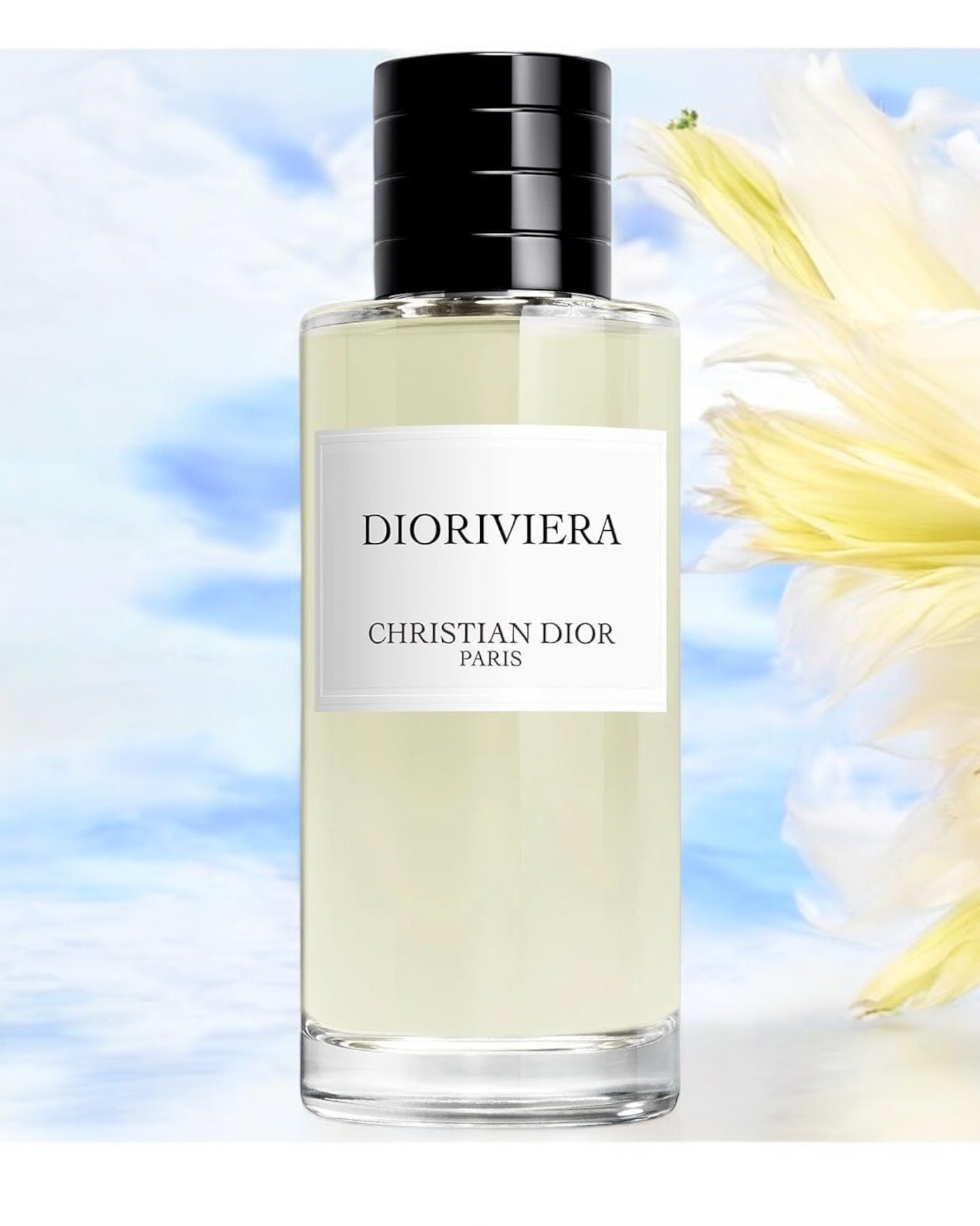 Christian Dior Dioriviera