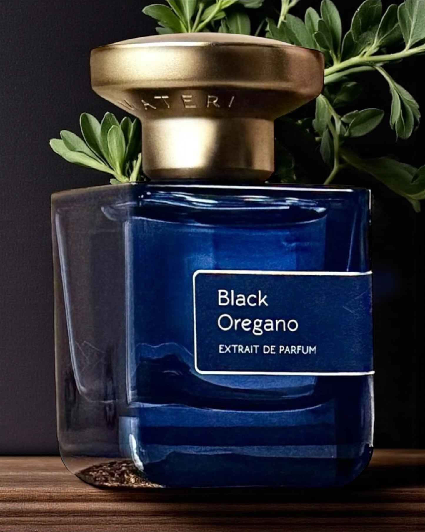 Atelier Materi Black Oregano