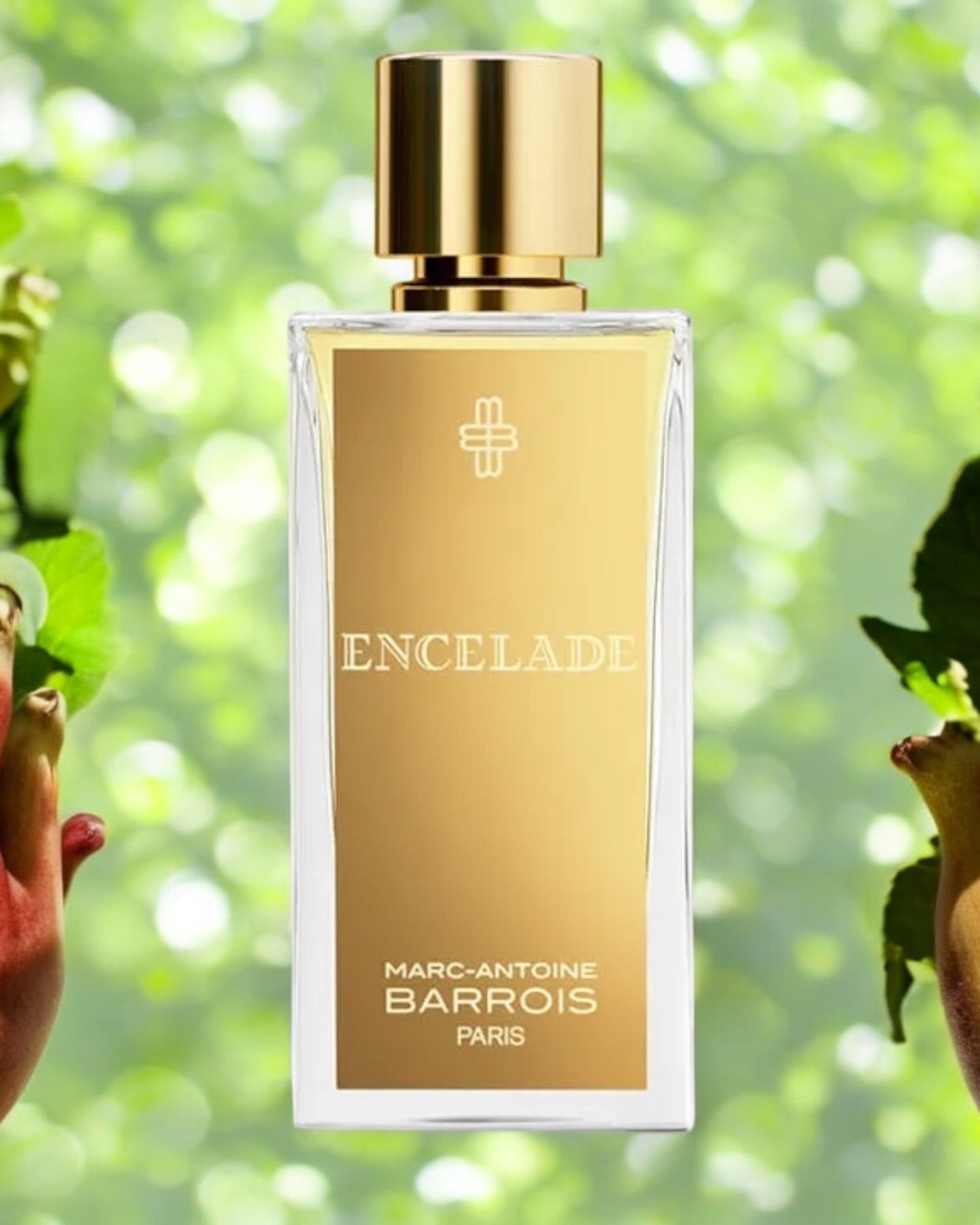 Marc-Antoine Barrois Encelade