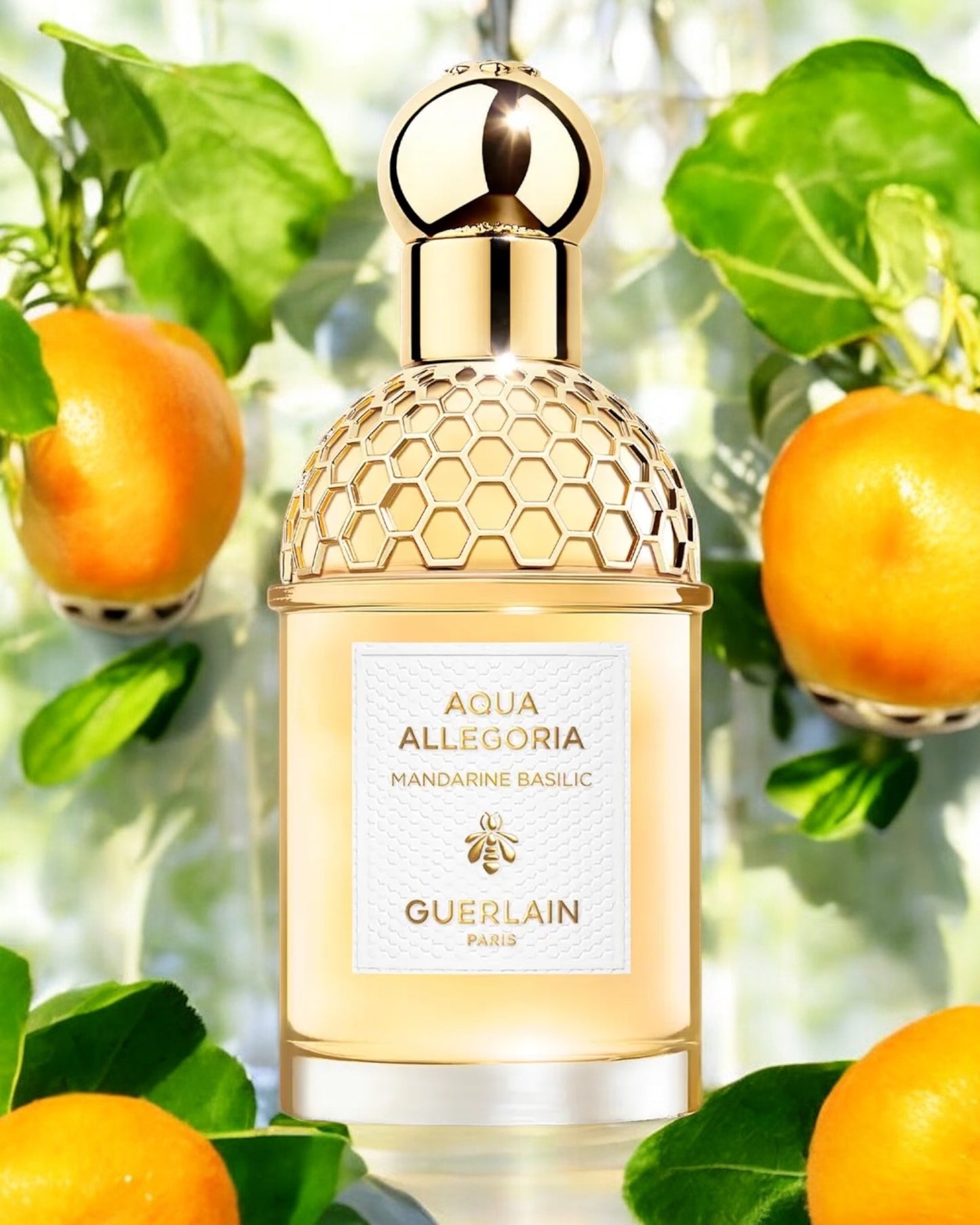 Guerlain Aqua Allegoria Mandarine Basilic