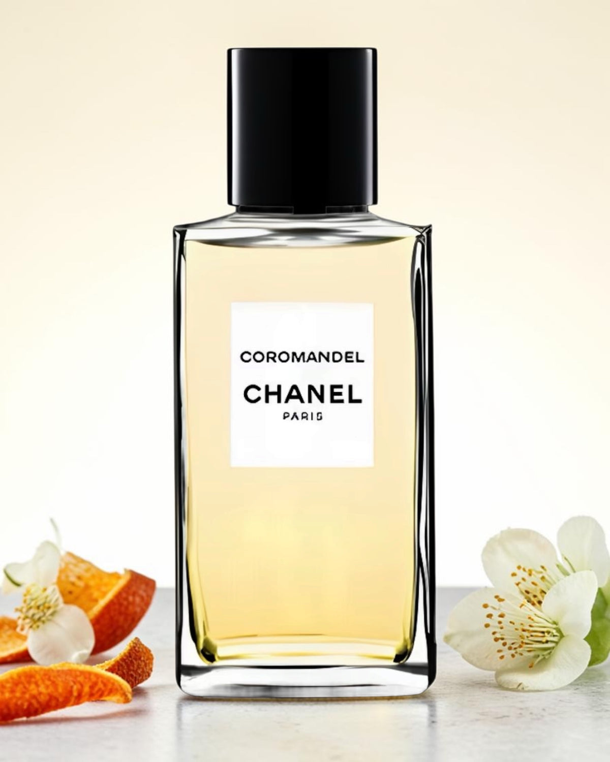Chanel Chanel Coromandel
