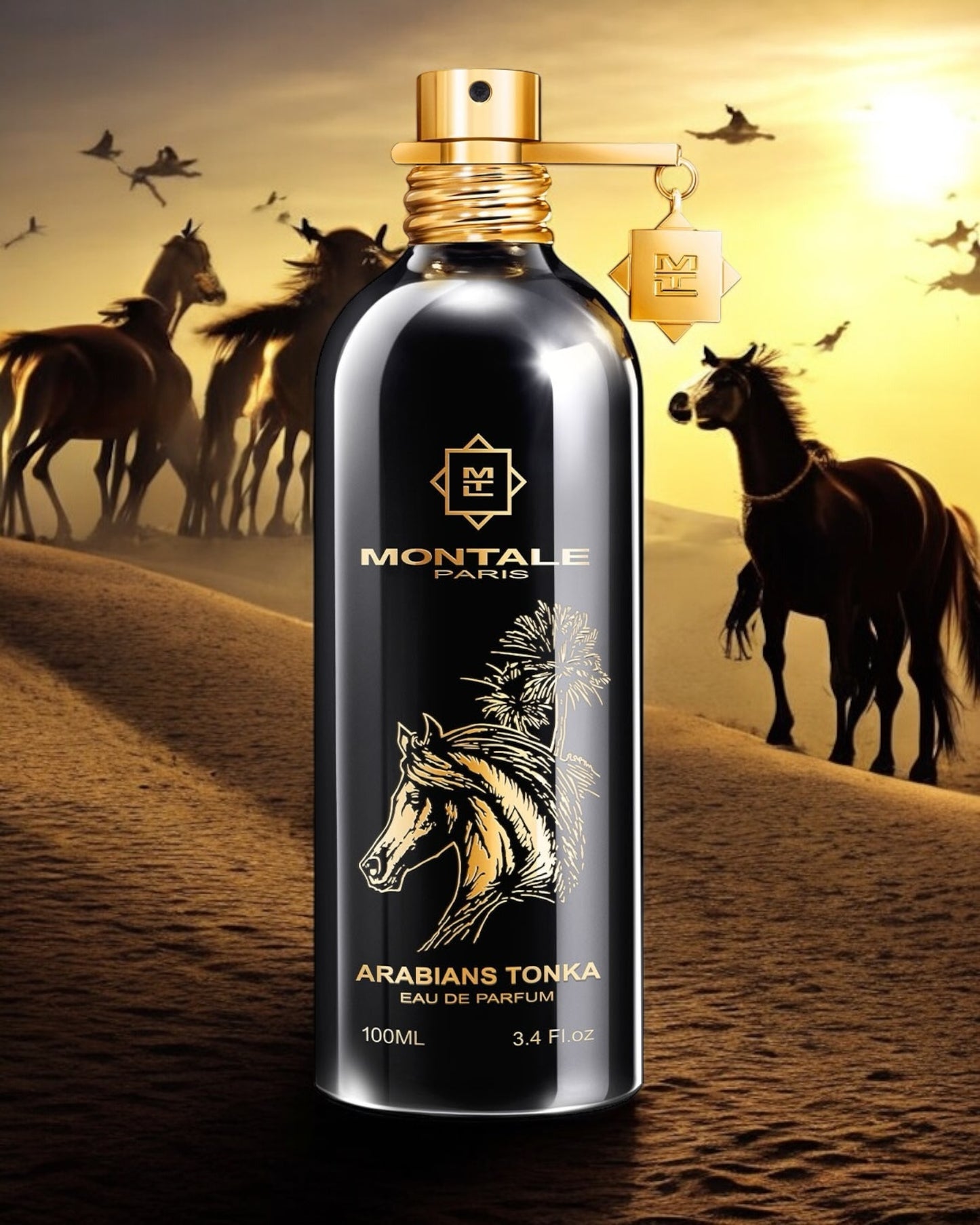 Montale Arabians Tonka