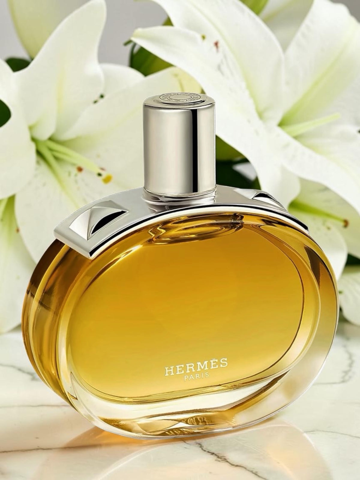 HERMÈS Barénia Intense