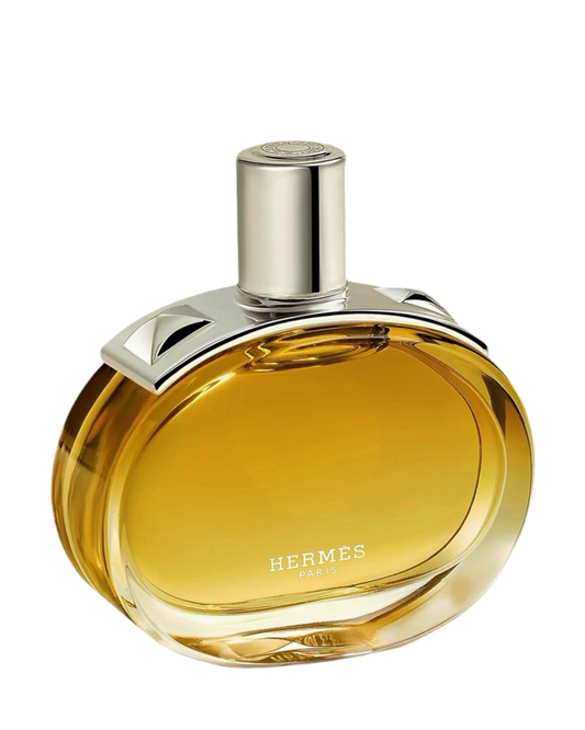 HERMÈS Barénia Intense