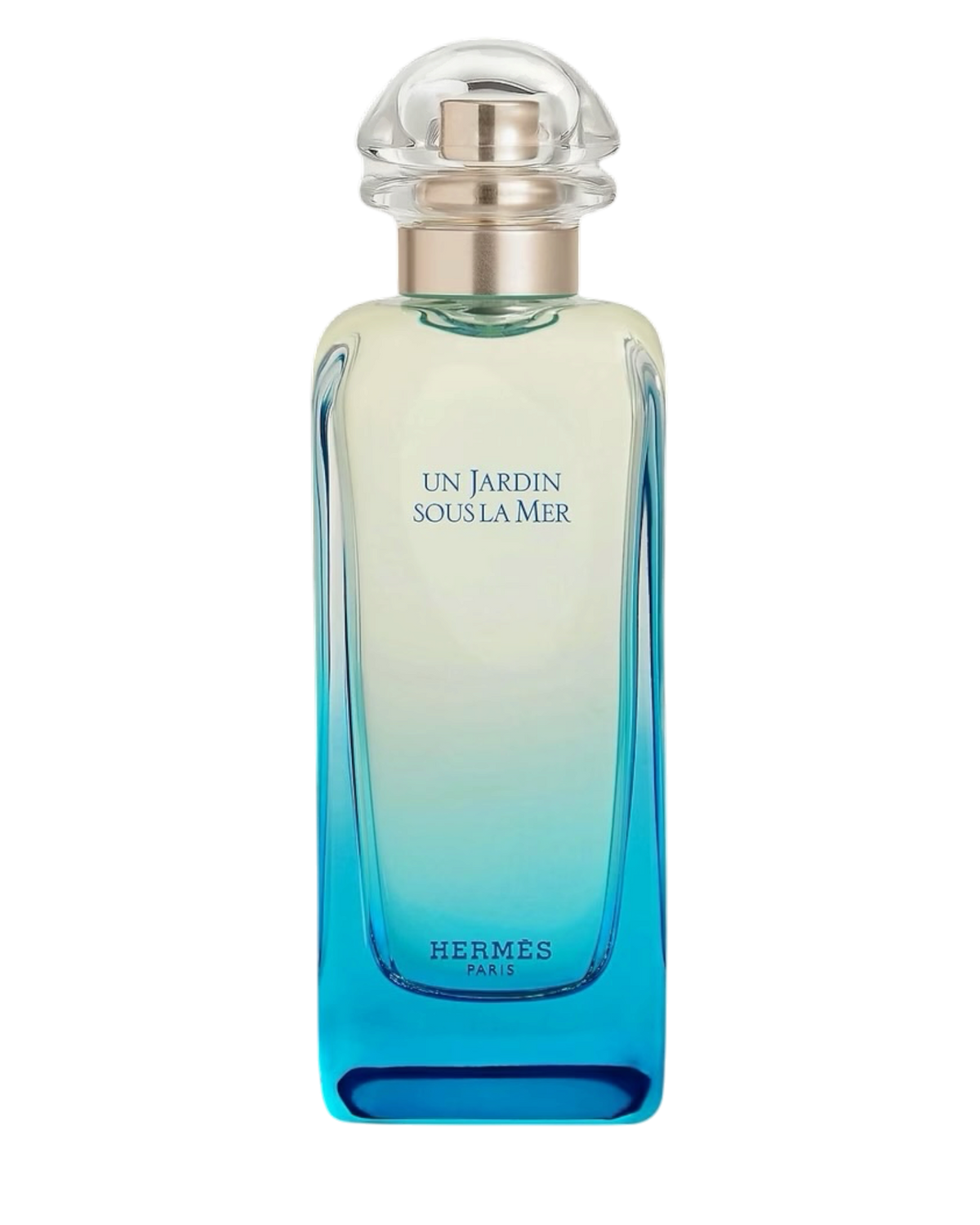 HERMÈS Un Jardin Sous la Mer