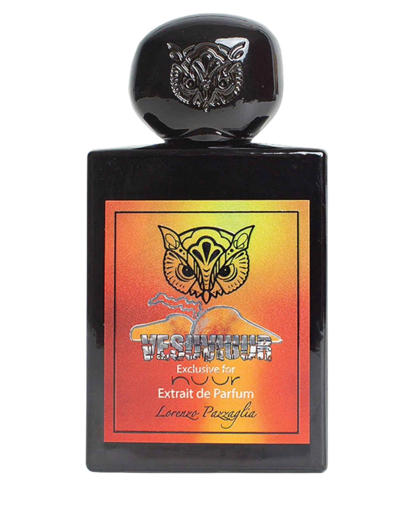 Lorenzo Pazzaglia Vesuviuur