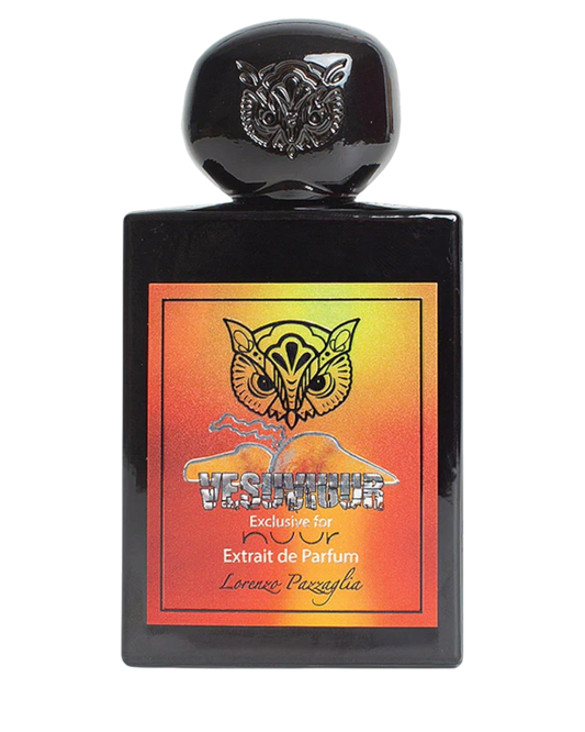 Lorenzo Pazzaglia Vesuviuur