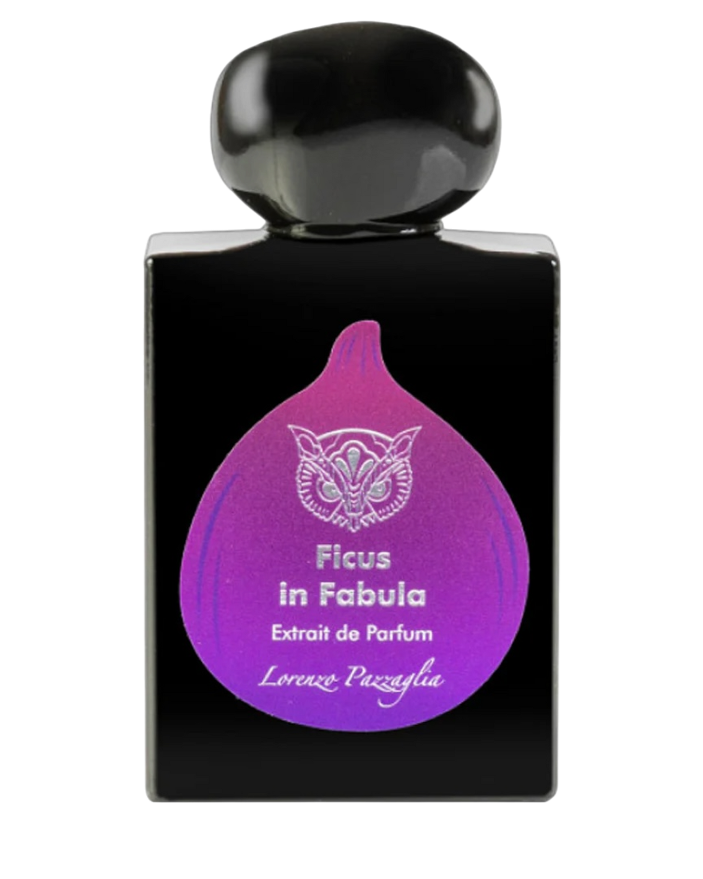 Lorenzo Pazzaglia Ficus in Fabula