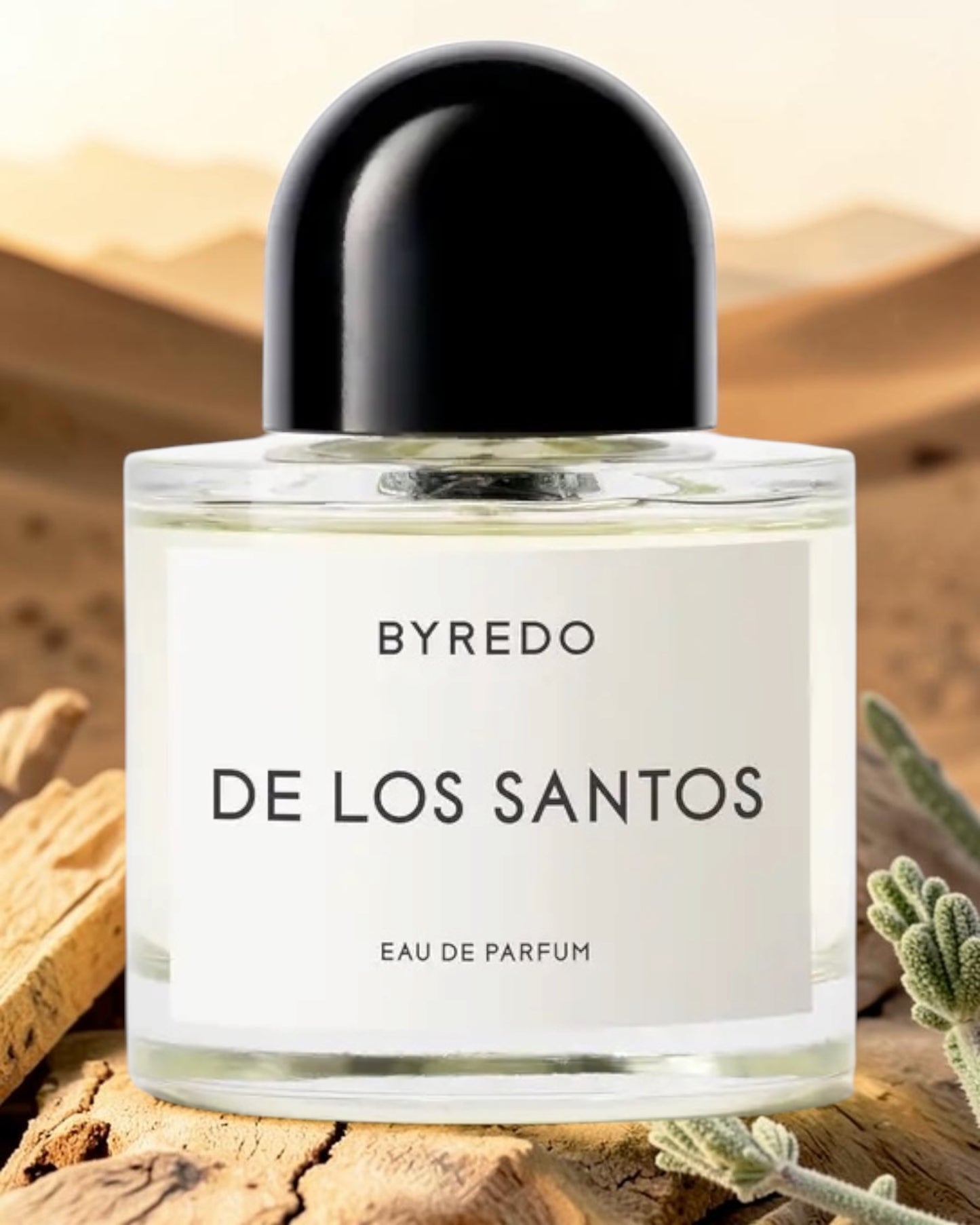 BYREDO De Los Santos