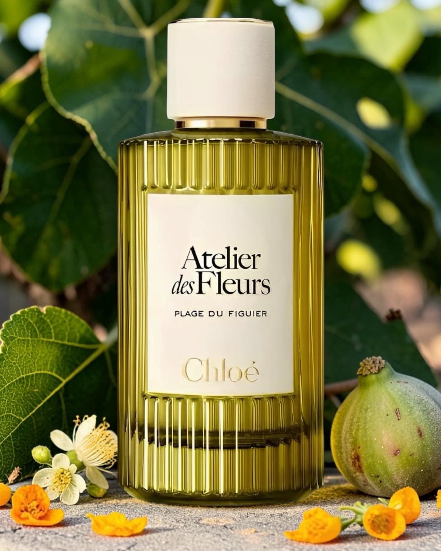 Chloé Atelier des Fleurs Plage du Figuier