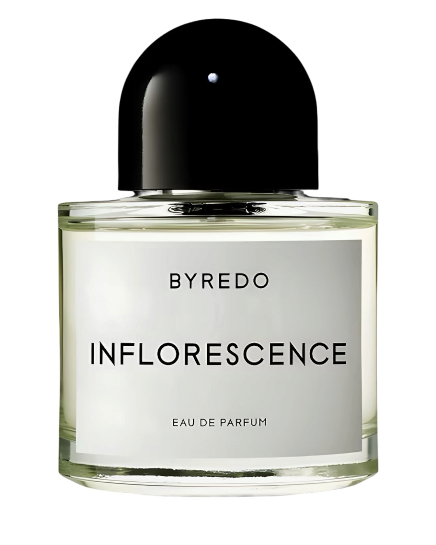 BYREDO Inflorescence