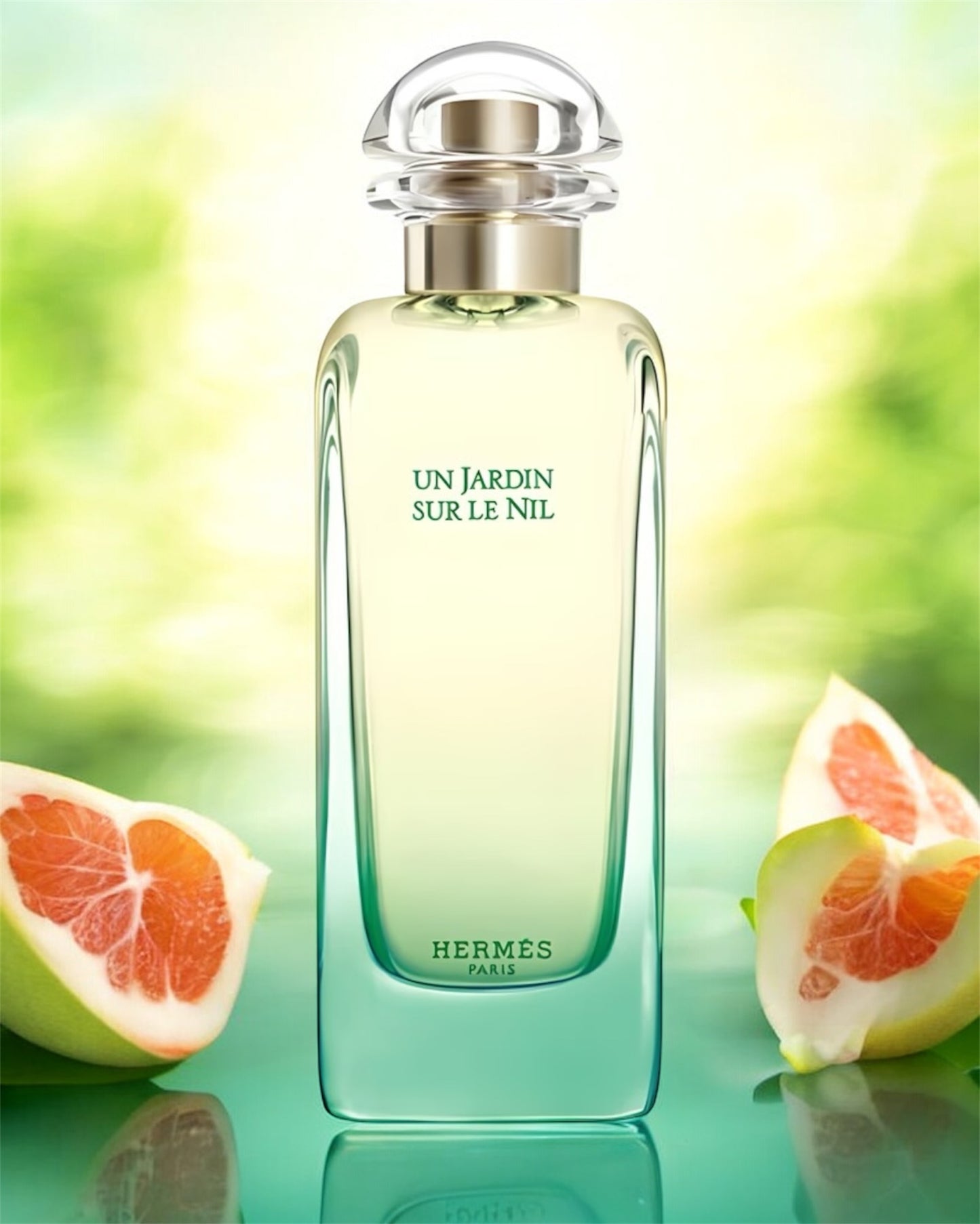 HERMÈS Un Jardin sur le Nil