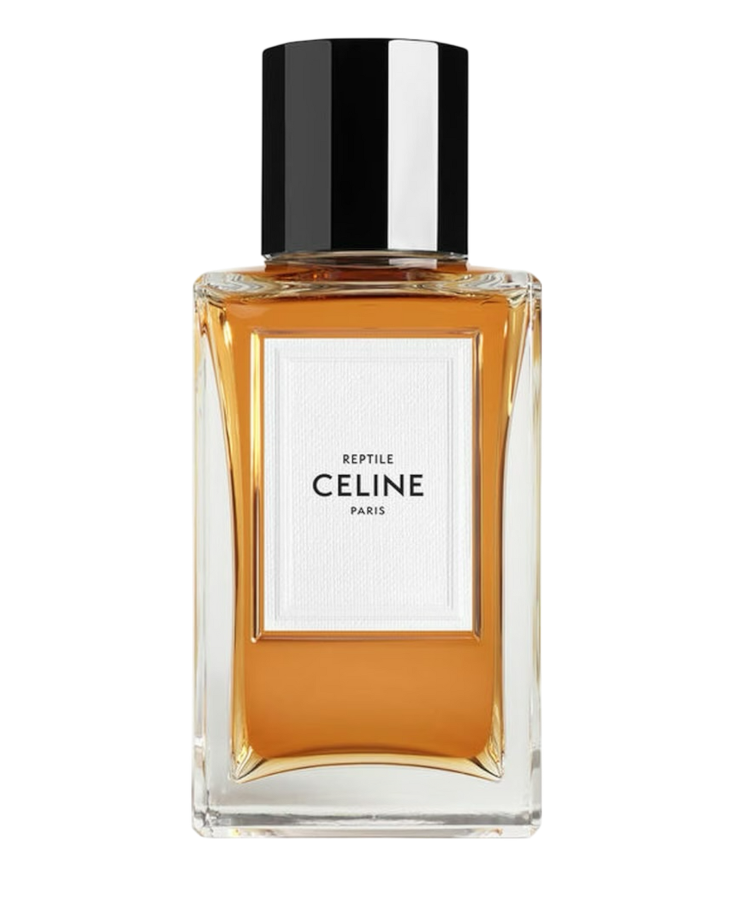 CELINE Reptile