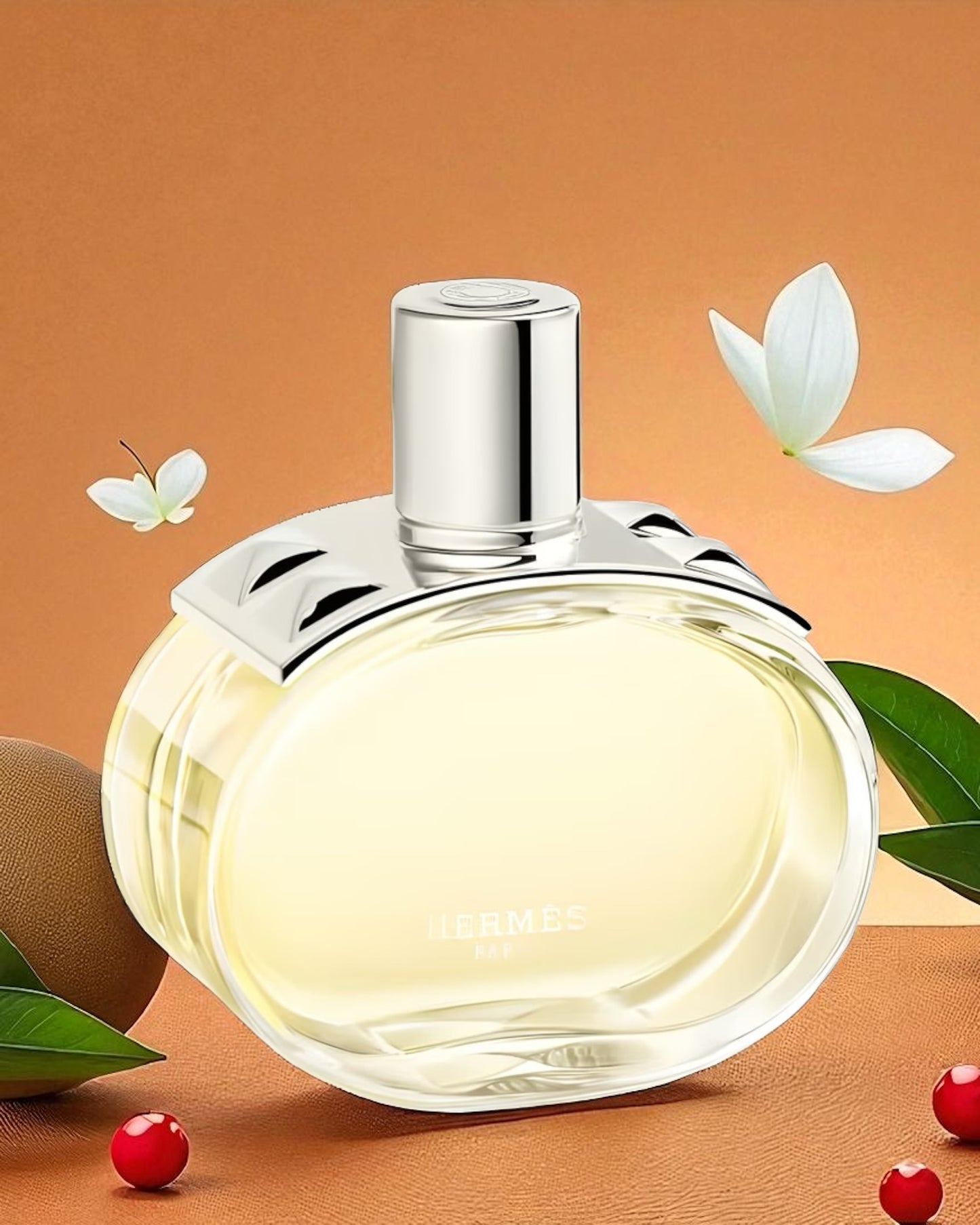 HERMÈS Barénia
