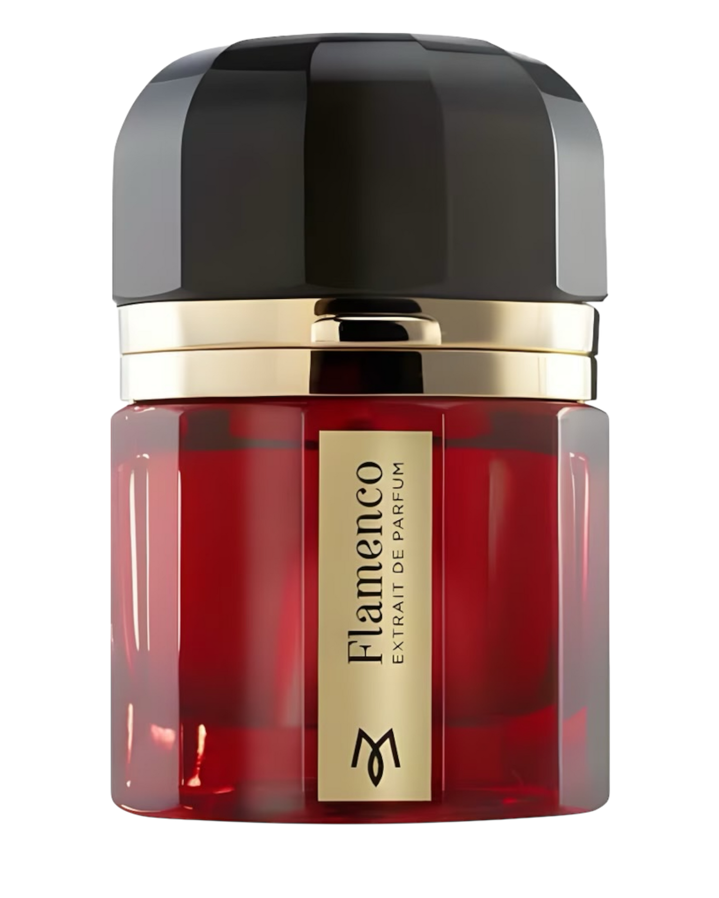 Ramon Monegal Flamenco Extrait