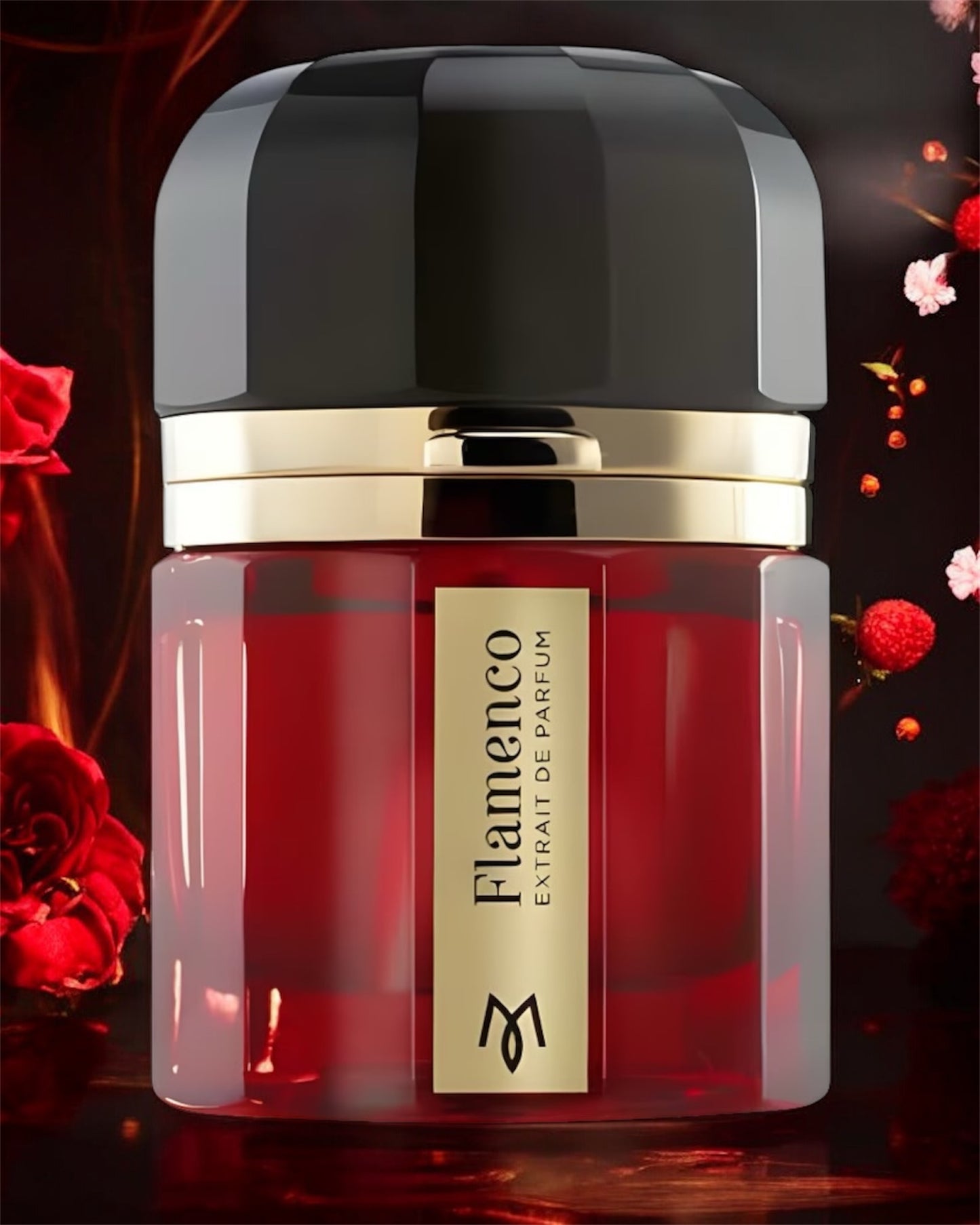 Ramon Monegal Flamenco Extrait