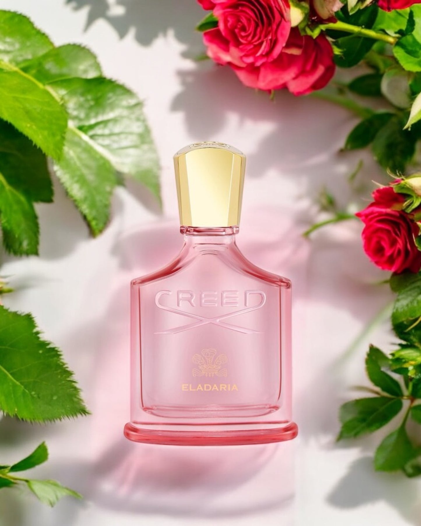 Creed Eladaria