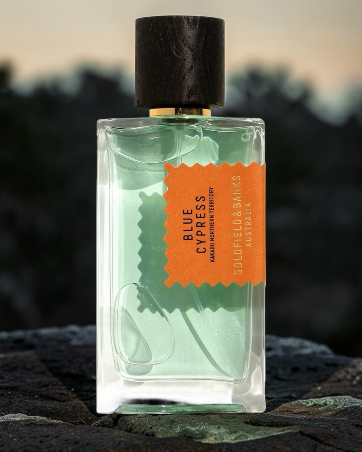 Goldfield & Banks Blue Cypress