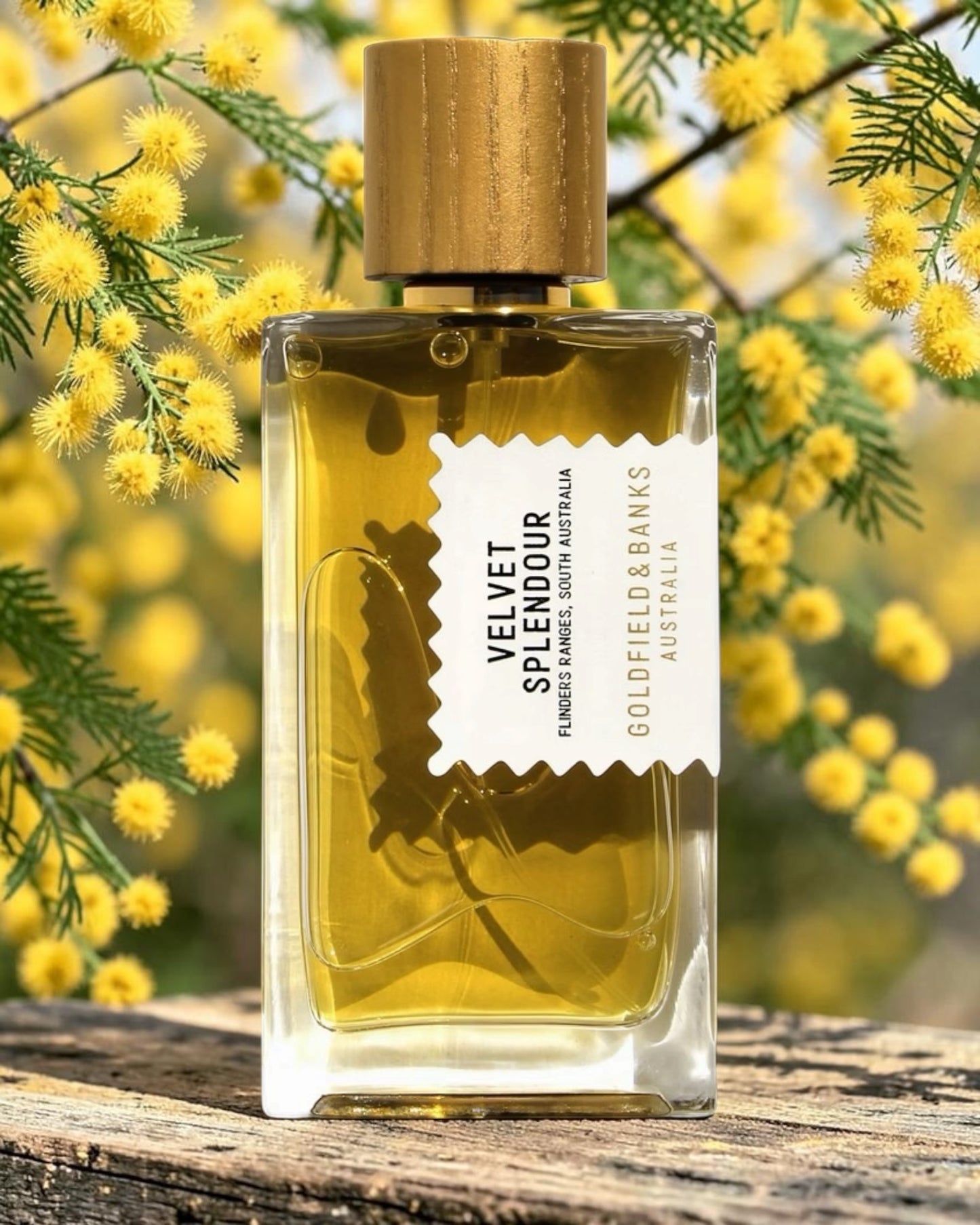 Goldfield & Banks Velvet Splendour