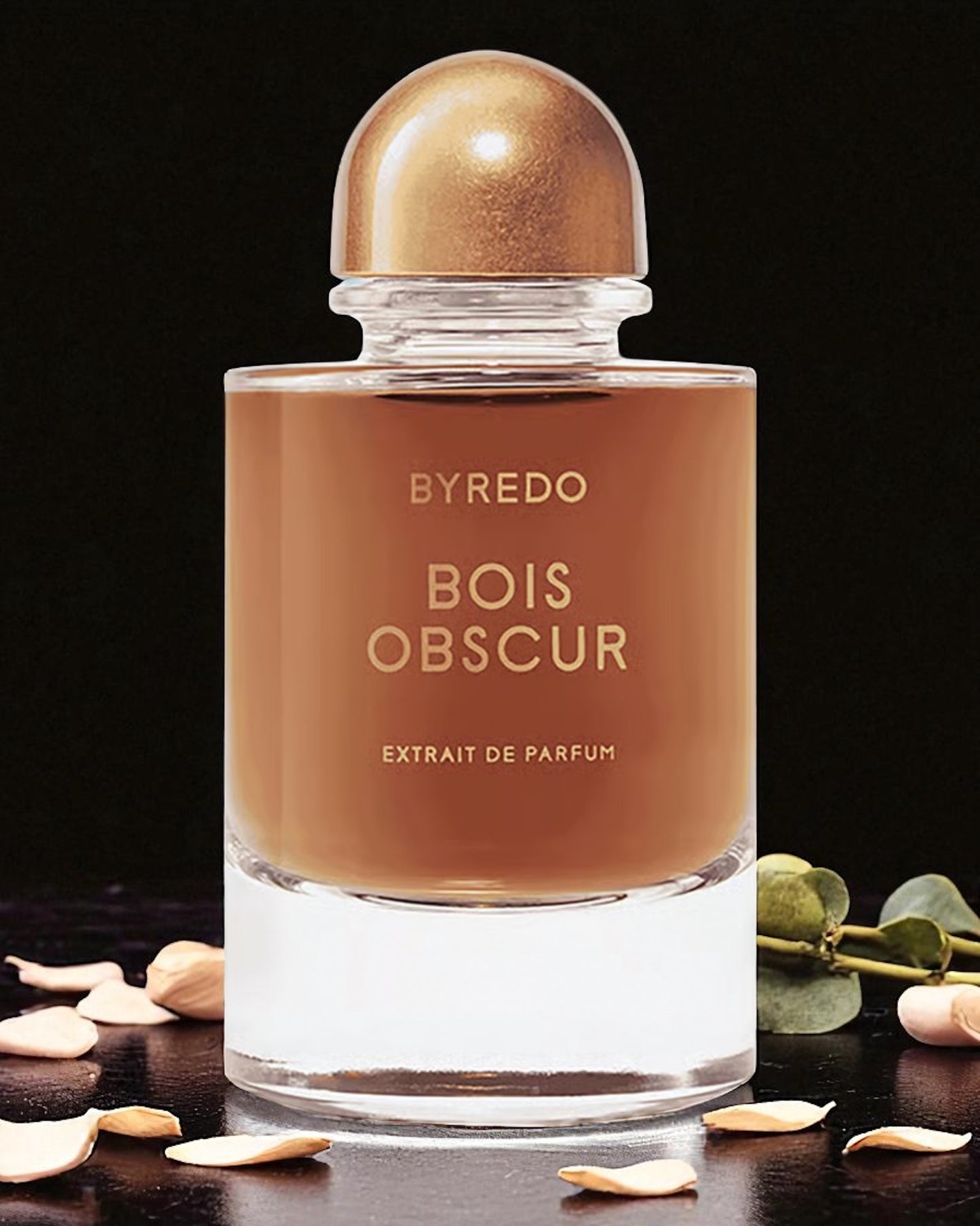 BYREDO Bois Obscur