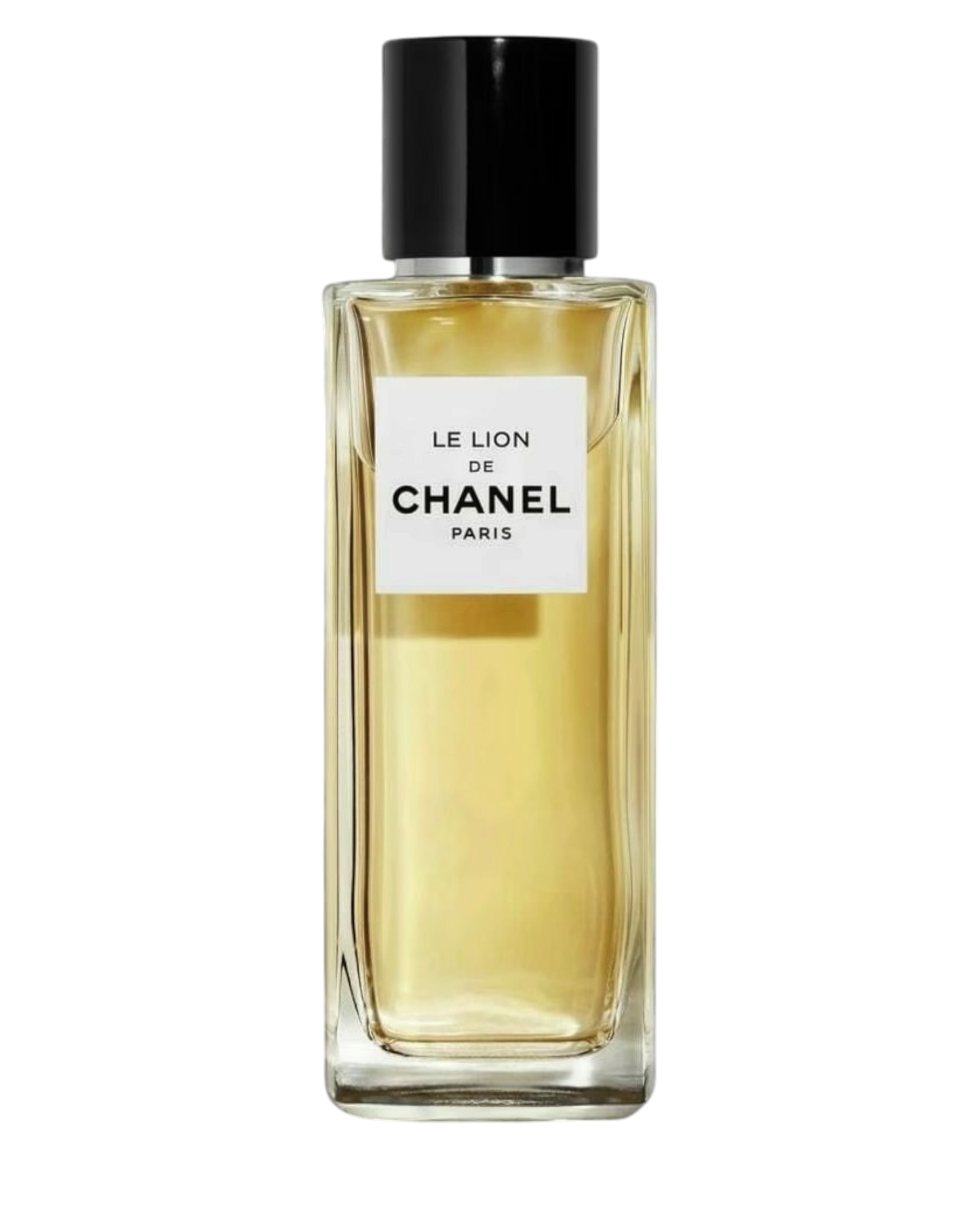 Chanel Le Lion