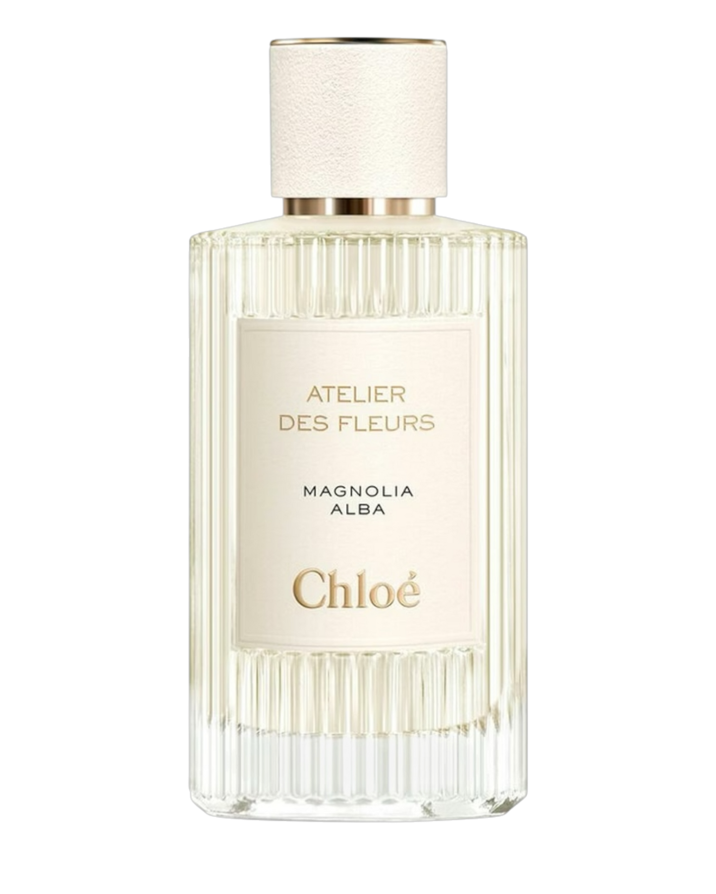 Chloé Atelier des Fleurs Magnolia Alba