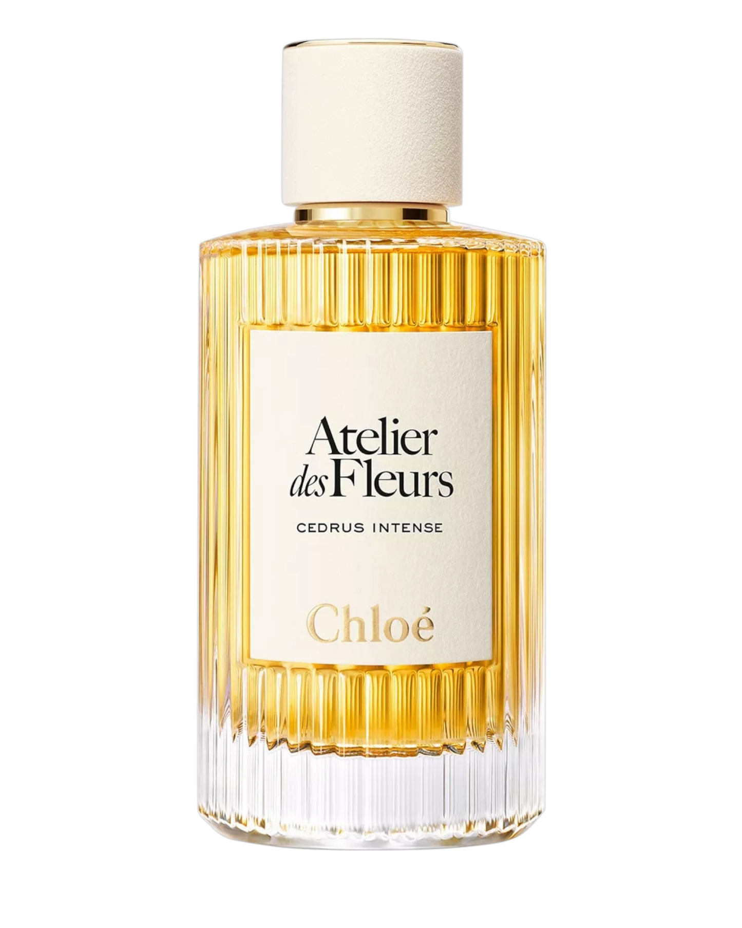 Chloé Atelier des Fleurs Cedrus Intense