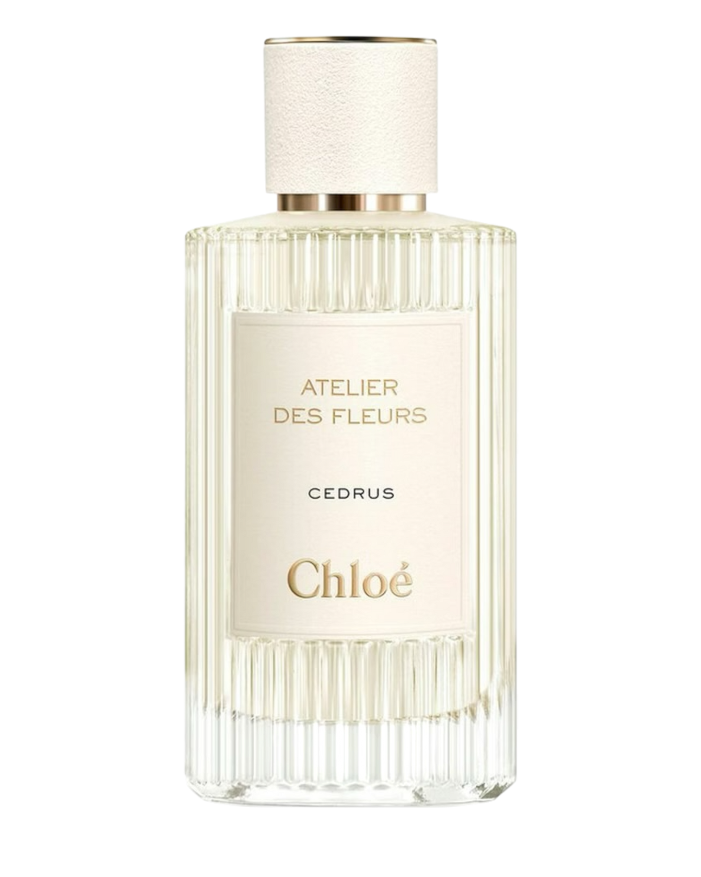 Chloé Atelier des Fleurs Cedrus