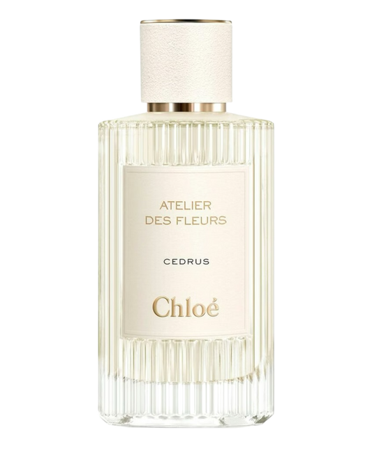 Chloé Atelier des Fleurs Cedrus