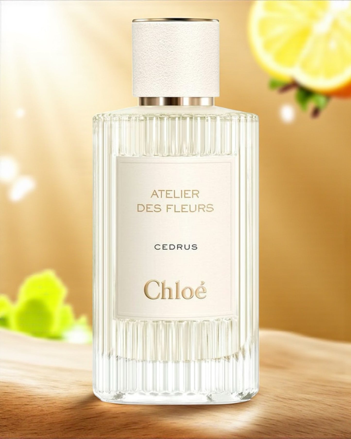 Chloé Atelier des Fleurs Cedrus