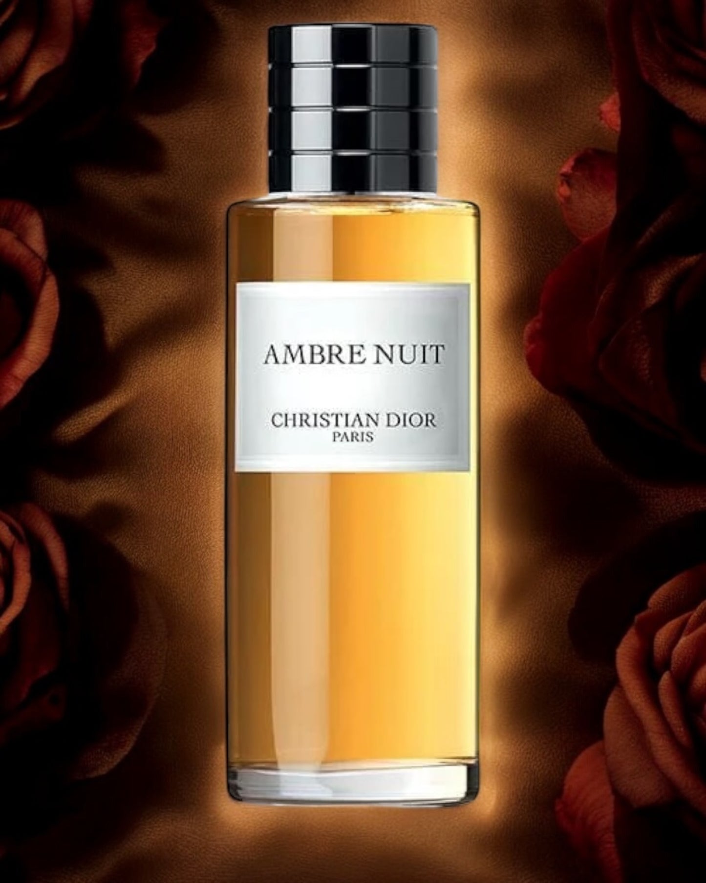 Christian Dior Ambre Nuit