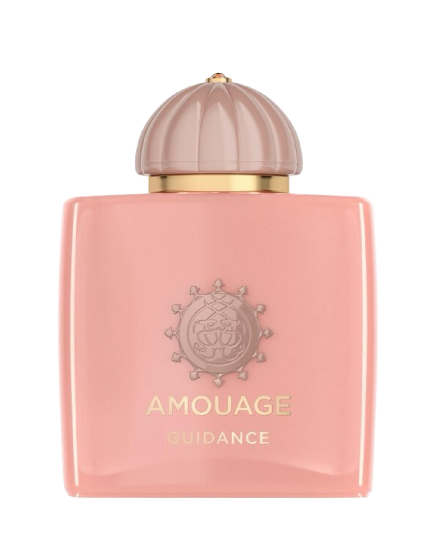 Amouage Guidance