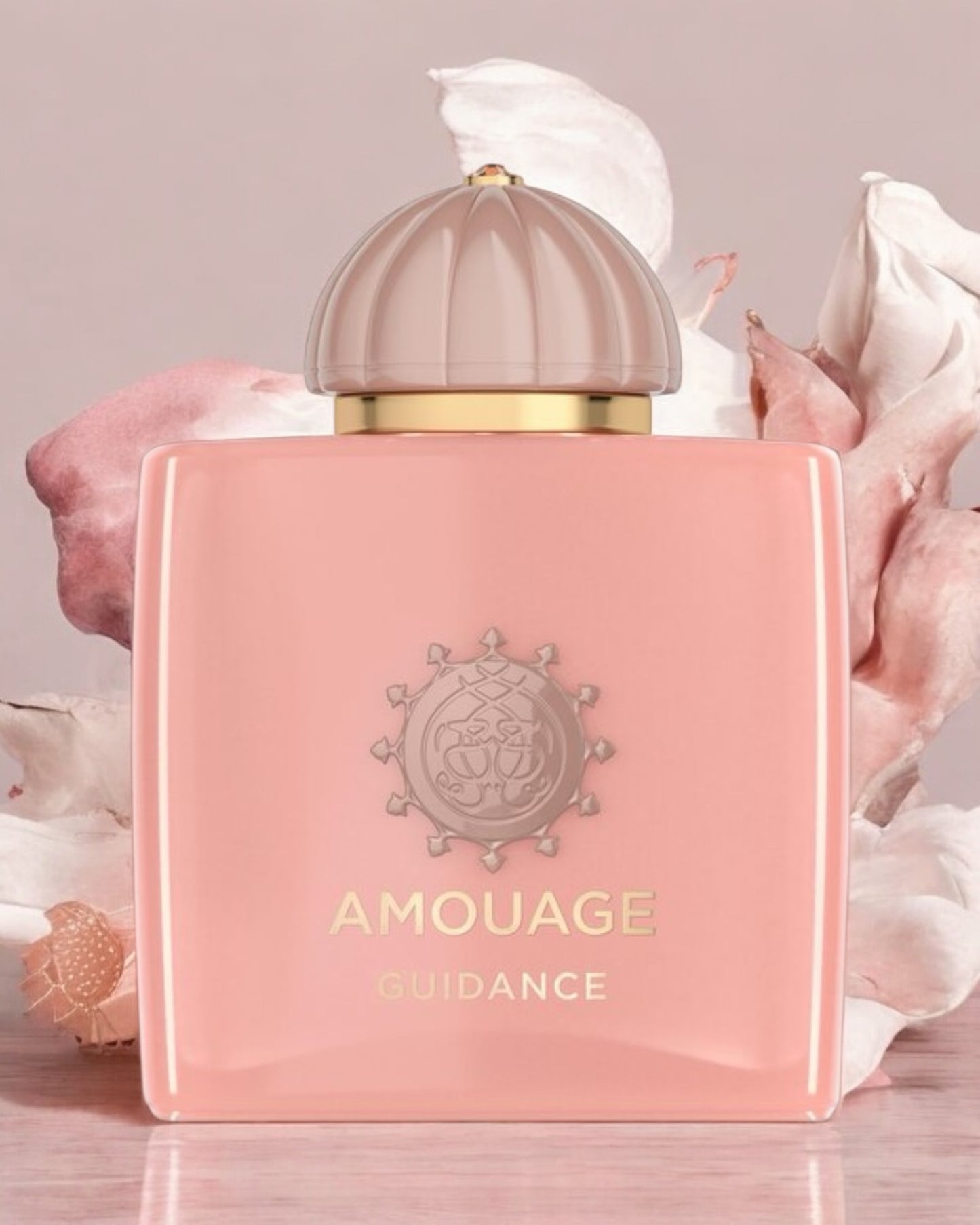 Amouage Guidance