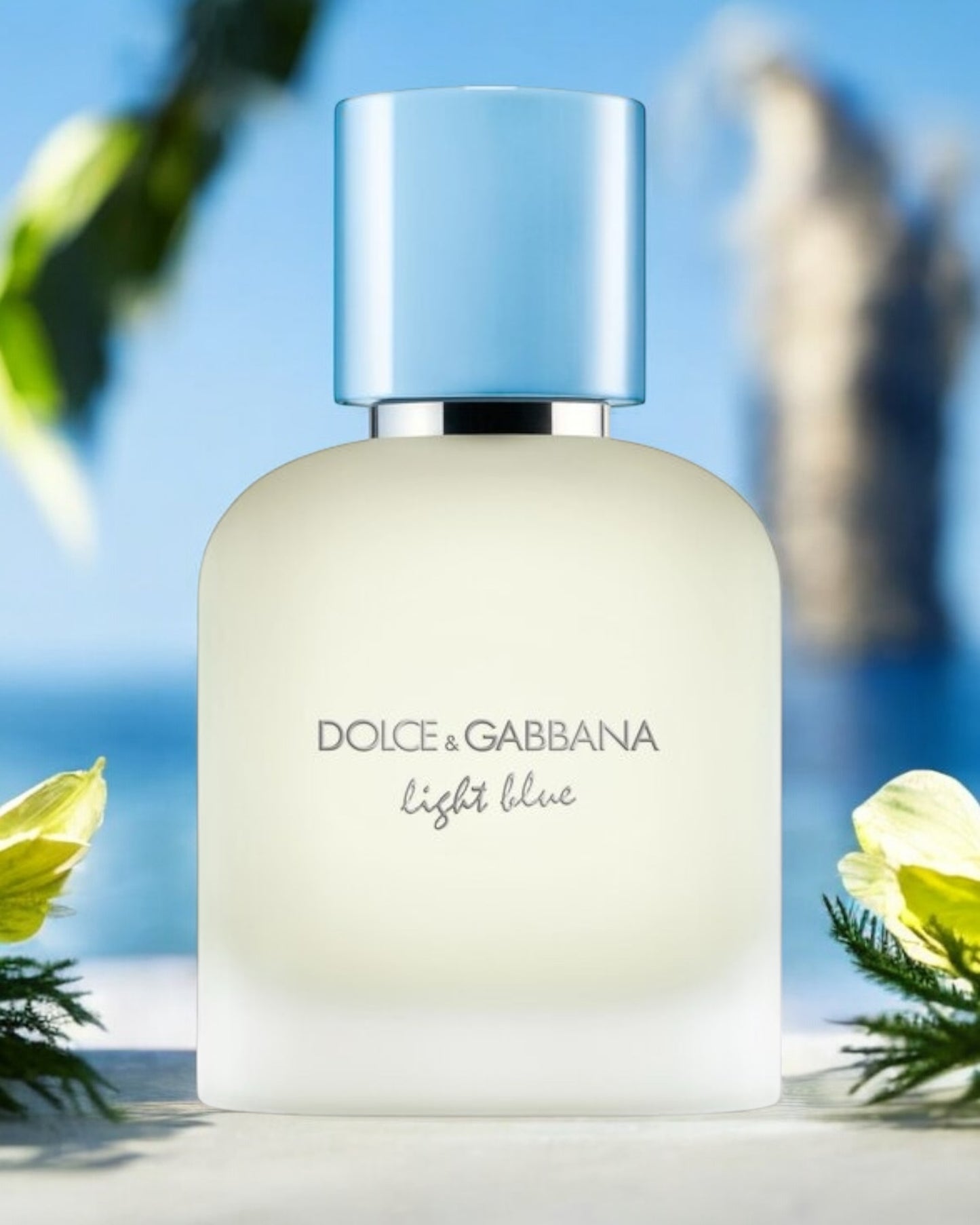 Dolce & Gabbana Light Blue Pour Homme