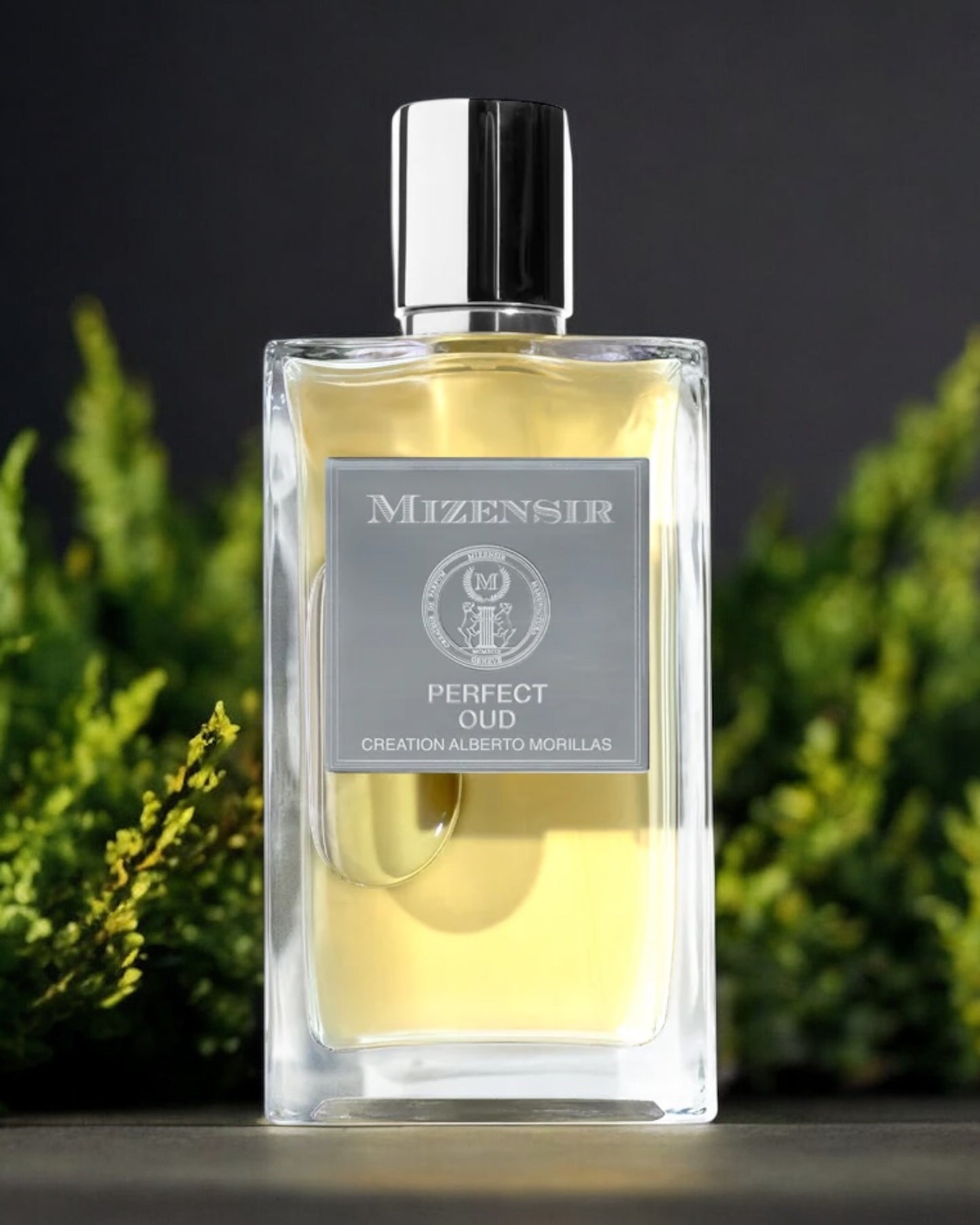 Mizensir Perfect Oud